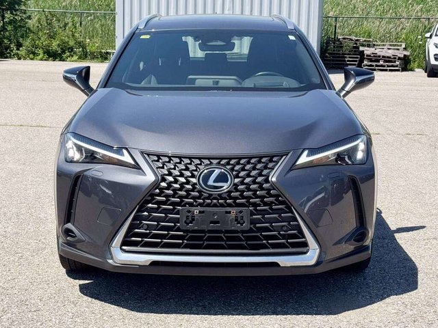 2025 Lexus UX 300h-1