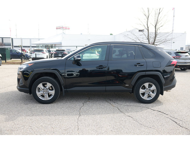 2025 Toyota RAV4 Hybrid LE-3