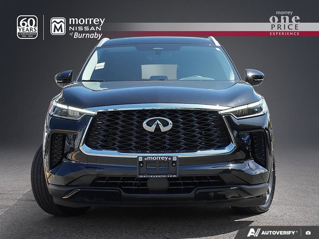 2024 Infiniti QX60 LUXE // NO ACCIDENTS-1