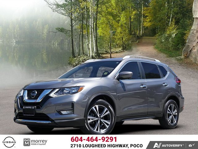 2020 Nissan Rogue SV-0