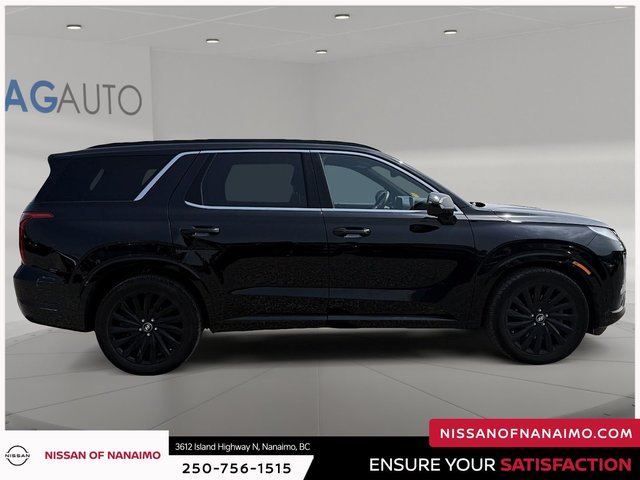 2025 Hyundai Palisade Ultimate-3