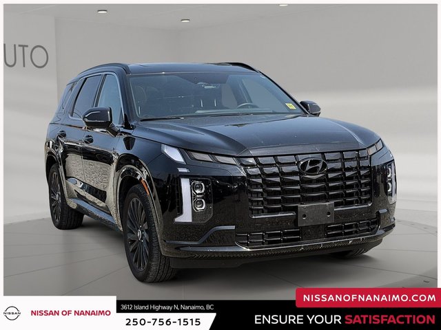 2025 Hyundai Palisade Ultimate-2