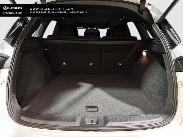 2025 Infiniti Qx50 Sport SPORT-6
