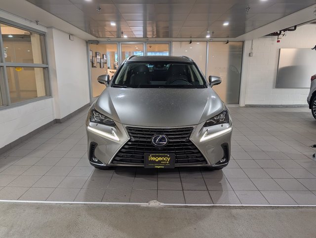 2018 Lexus NX 300h-1
