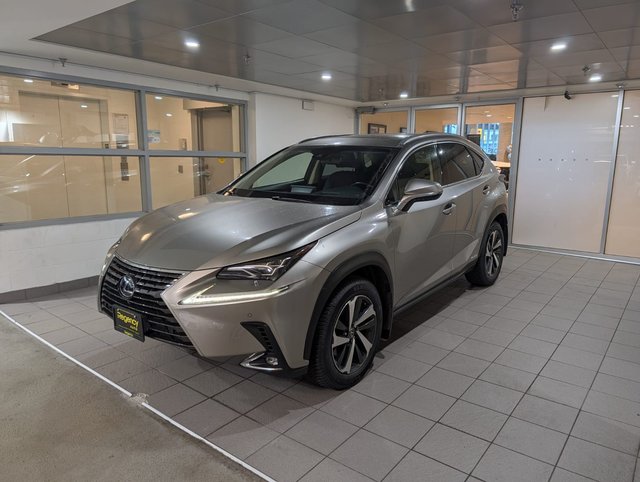 2018 Lexus NX 300h-0