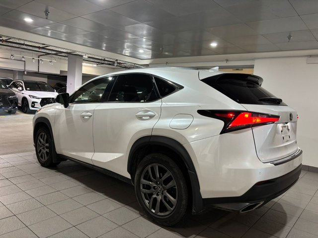 2019 Lexus NX 300-3