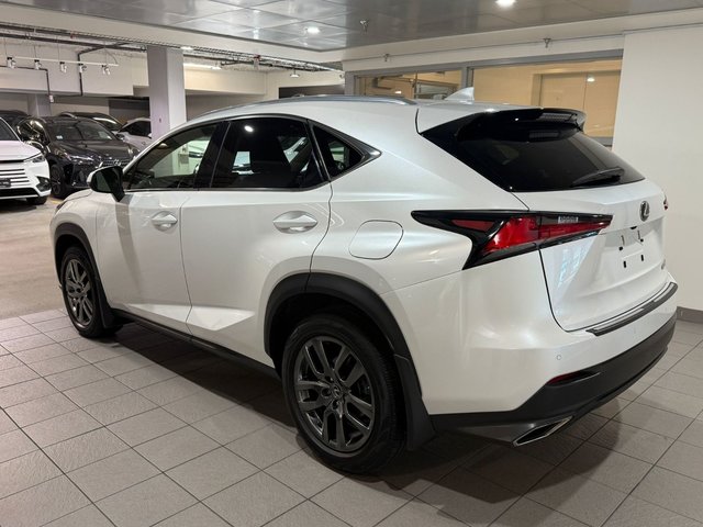 2019 Lexus NX 300-2