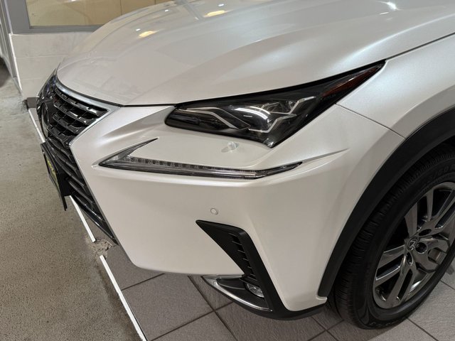 2019 Lexus NX 300-3