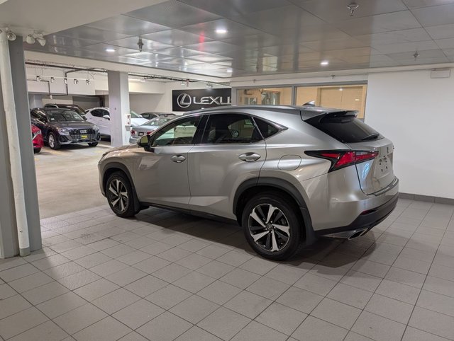 2020 Lexus NX 300-2