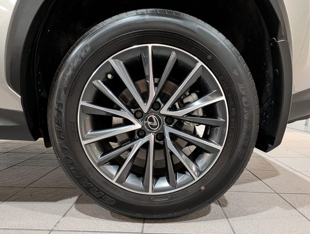2022 Lexus NX 250-5