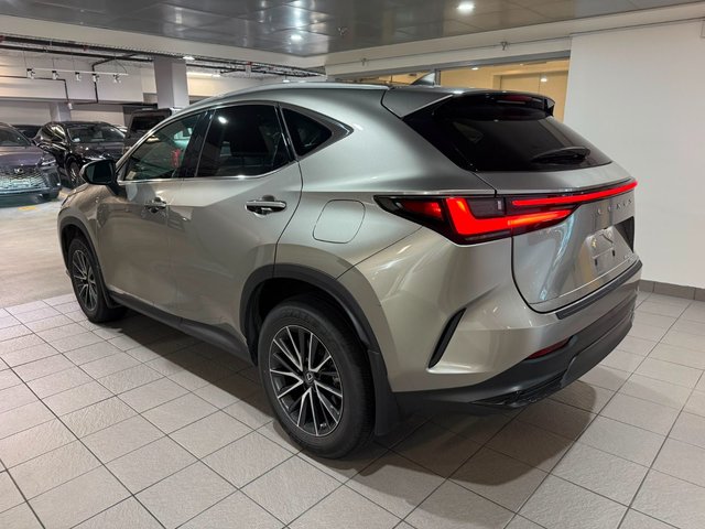 2023 Lexus NX 250-2