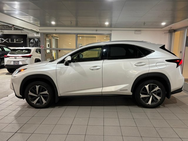 2020 Lexus NX 300h AWD NX 300h-2