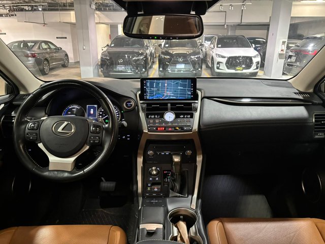 2020 Lexus NX 300h AWD NX 300h-4