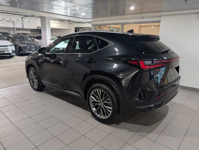 2022 Lexus NX 350-3
