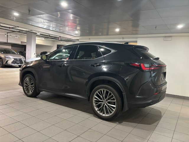 2022 Lexus NX 350-3