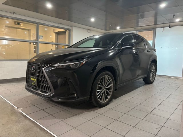 2022 Lexus NX 350-0