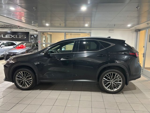 2022 Lexus NX 350-2