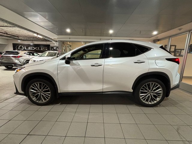 2023 Lexus NX 350-2