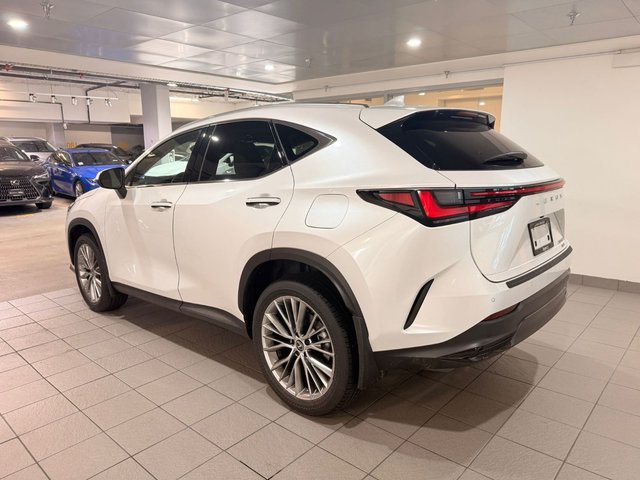 2024 Lexus NX 350-2