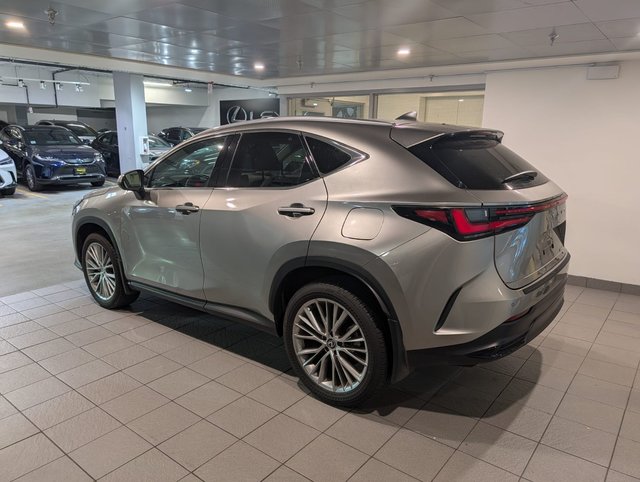 2024 Lexus NX 350 Ultra Premium-2