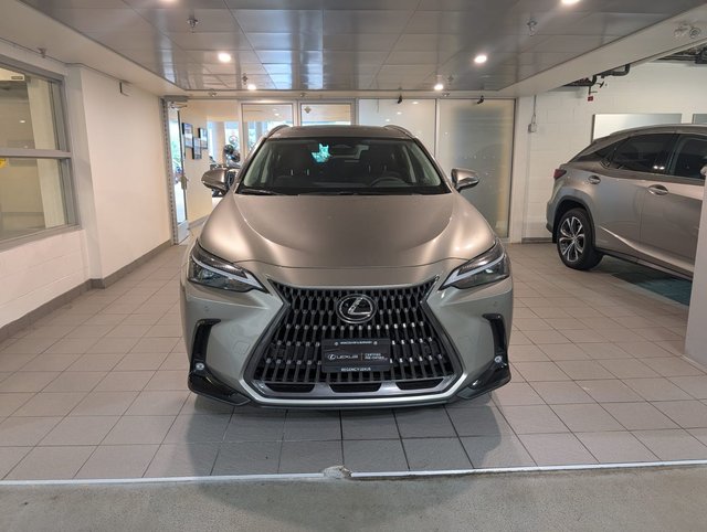 2024 Lexus NX 350 Ultra Premium-1
