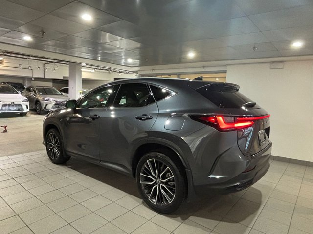2025 Lexus NX 350-3