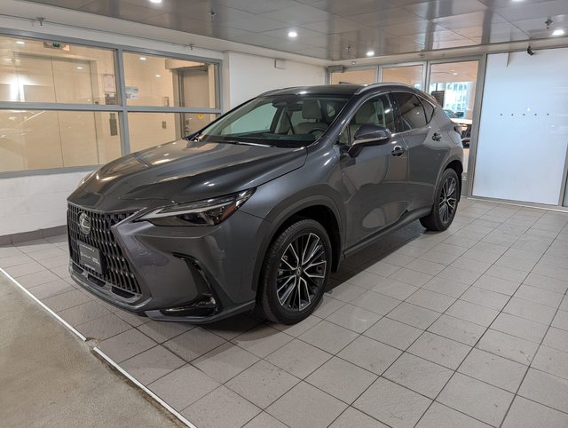 2025 Lexus NX 350-0
