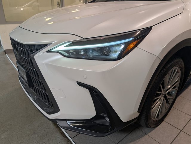 2025 Lexus NX 350 LUXURY PACKAGE-1