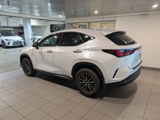 2025 Lexus NX 350 PREMIUM PACKAGE-2
