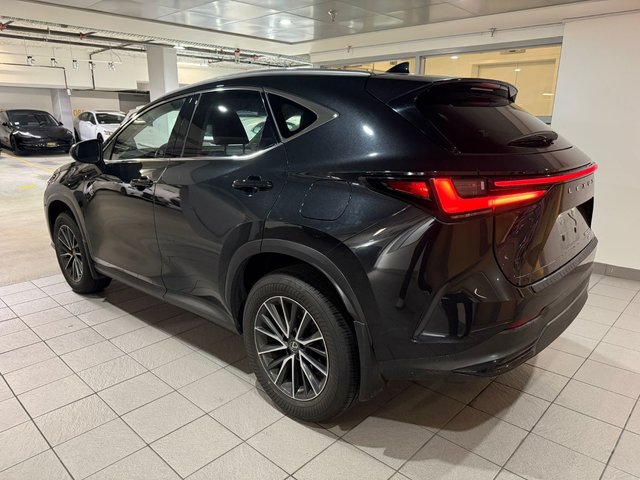 2022 Lexus NX 350h-2