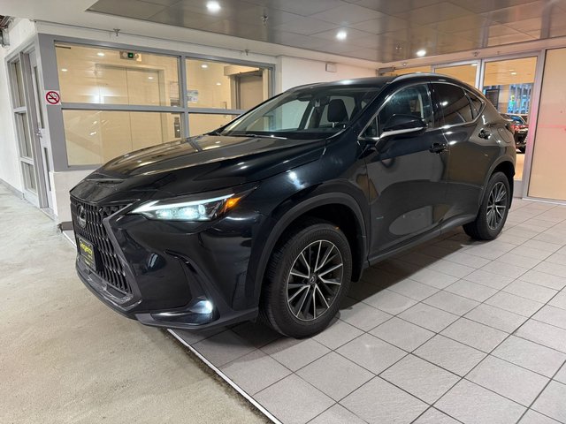 2022 Lexus NX 350h-0