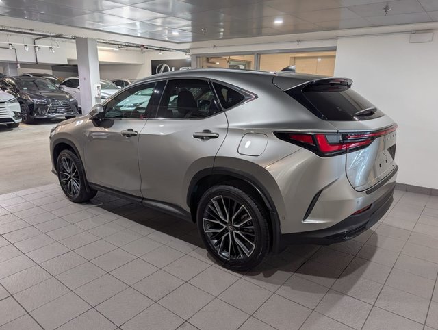 2022 Lexus NX 350h-3