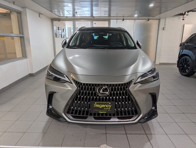 2022 Lexus NX 350h-1