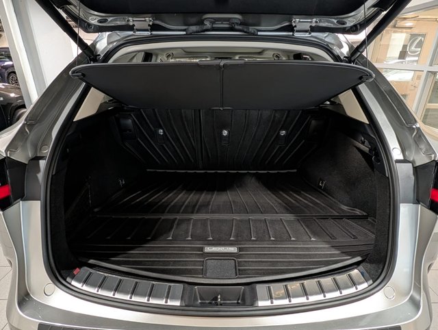 2022 Lexus NX 350h-7
