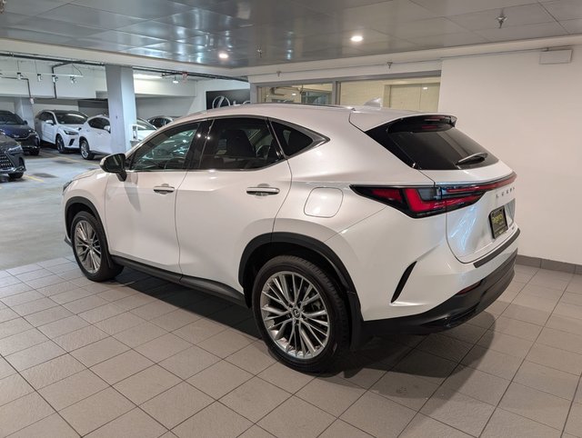 2022 Lexus NX 350h-3