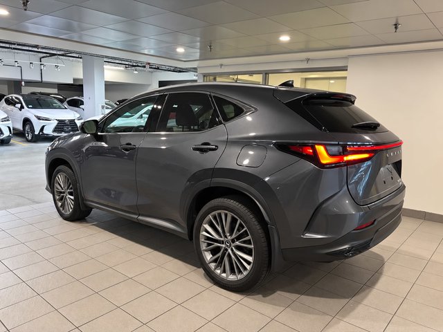 2022 Lexus NX 350h-3