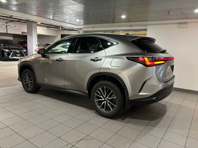 2023 Lexus NX 350h-3