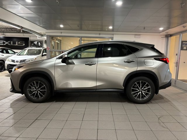 2023 Lexus NX 350h-2