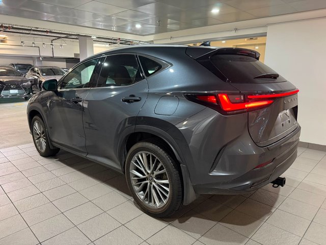 2023 Lexus NX 350h-2