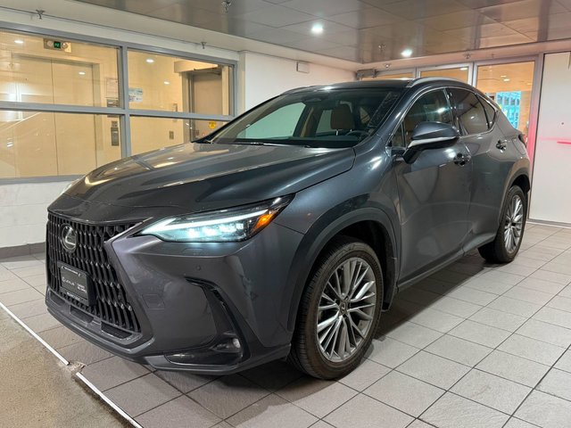 2023 Lexus NX 350h-0