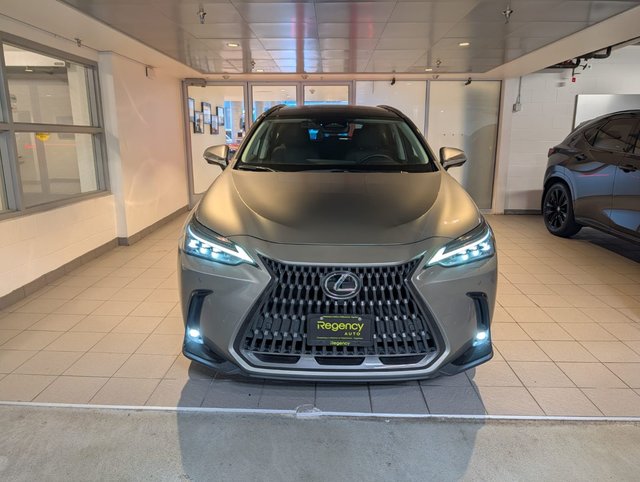 2024 Lexus NX 350h-1
