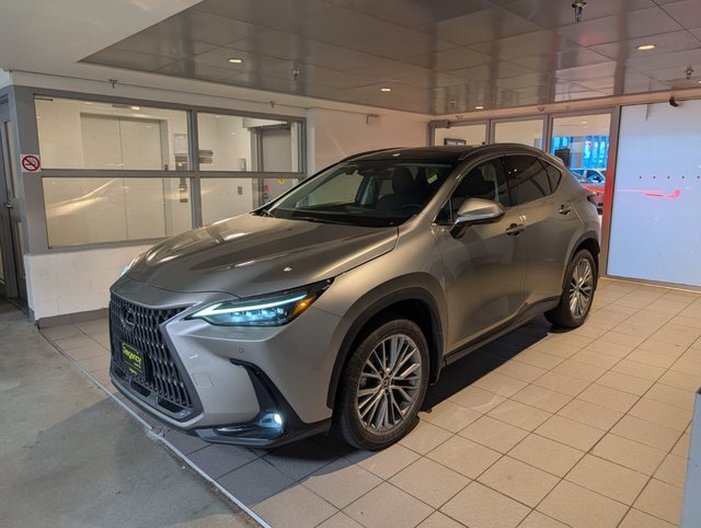 2024 Lexus NX 350h-0