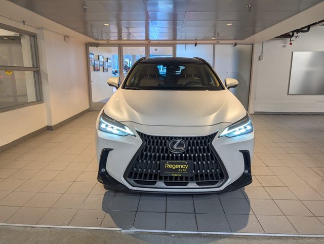 2024 Lexus NX 350h-1