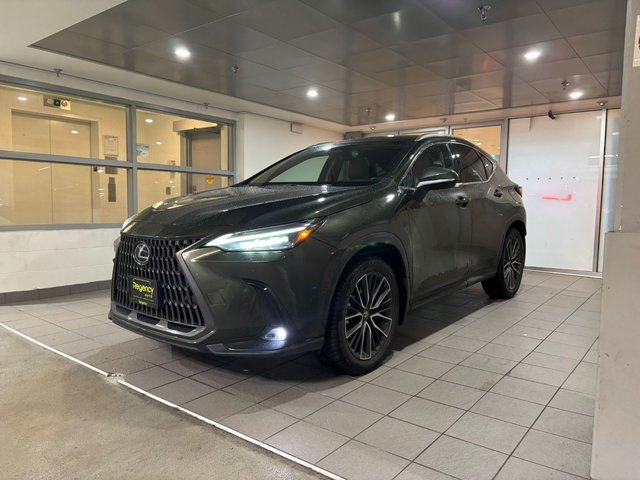 2025 Lexus NX350h EXECUTIVE PACKAGE NX 350h-0