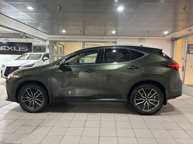 2025 Lexus NX350h EXECUTIVE PACKAGE NX 350h-2
