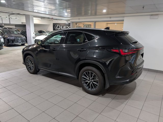 2025 Lexus NX 350h PREMIUM PACKAGE-2