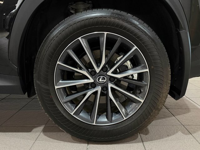 2025 Lexus NX 350h PREMIUM PACKAGE-5