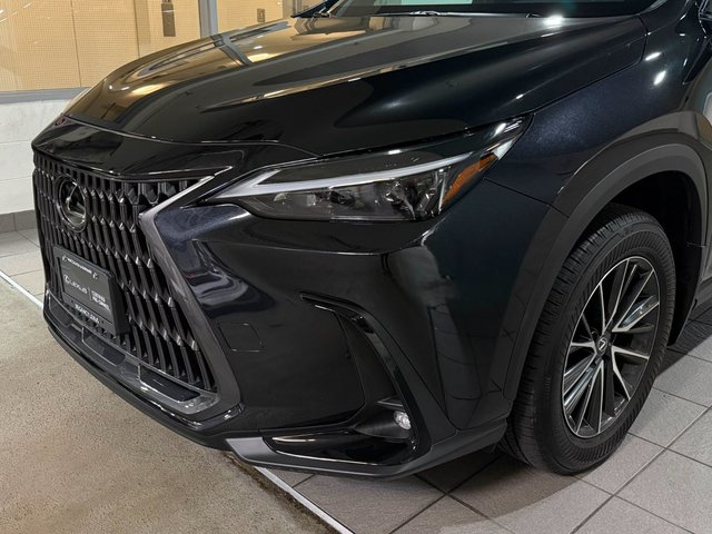 2025 Lexus NX 350h PREMIUM PACKAGE-2