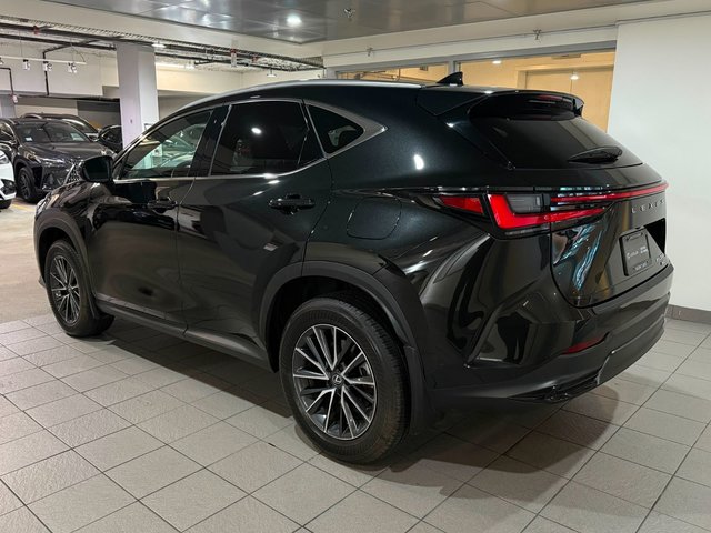 2025 Lexus NX 350h PREMIUM PACKAGE-3
