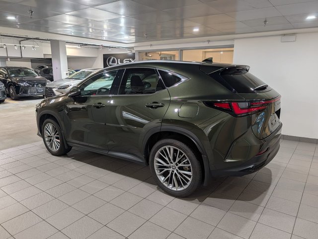 2025 Lexus NX 350h-2